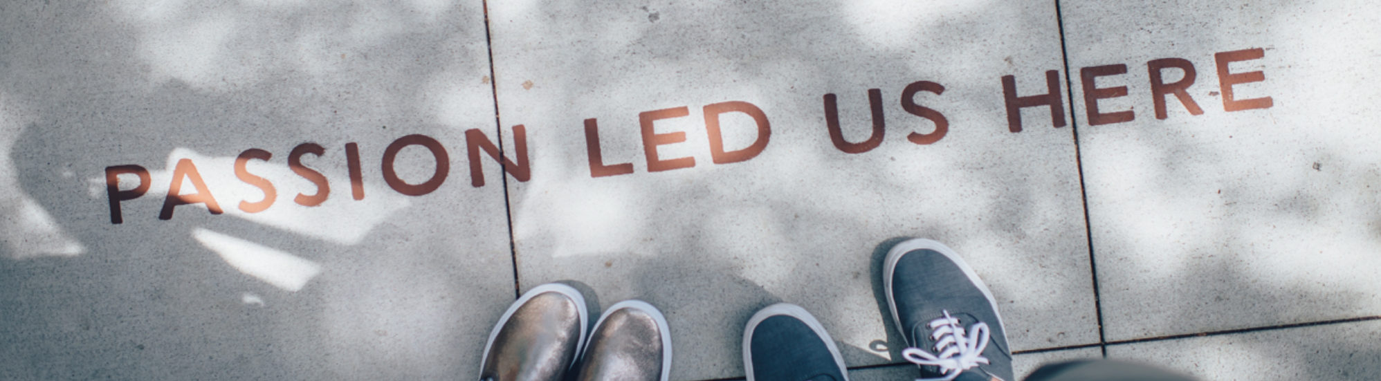 Amber Law Holistic Lawyer