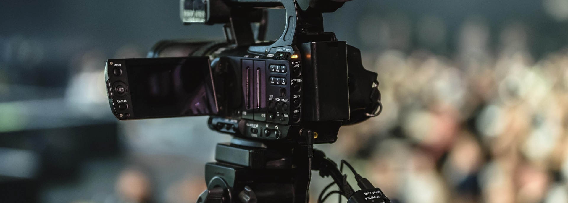 Amber Law Holistic Lawyer