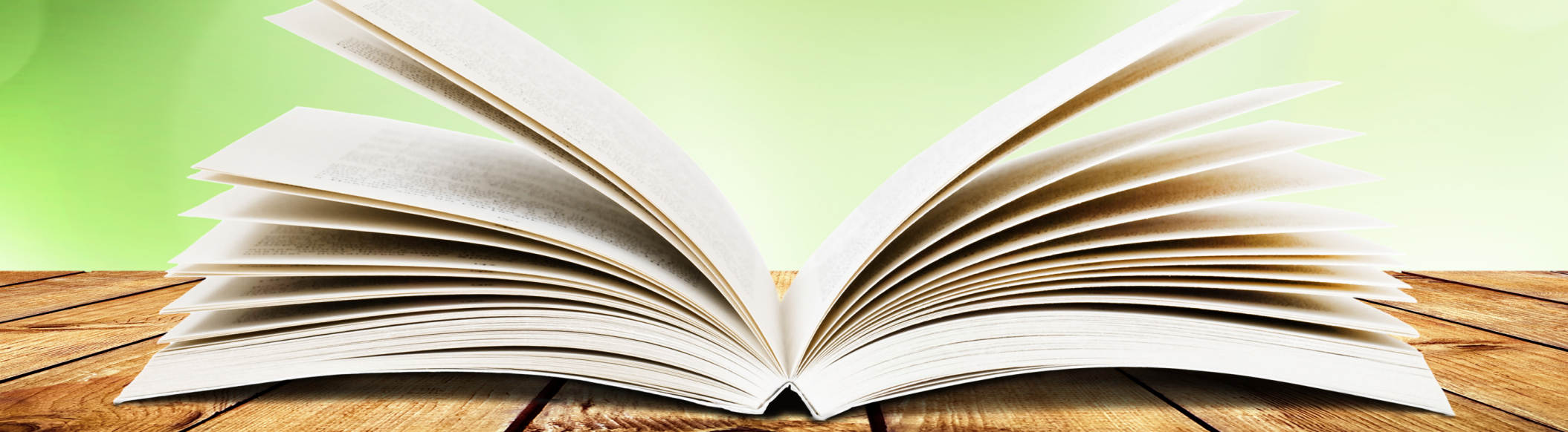 Amber Law Holistic Lawyer Books